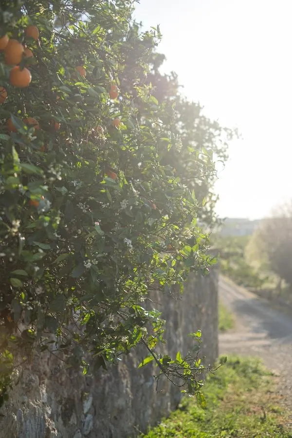 Casa Rural Emilio Con 4 Dormitorios Malaga